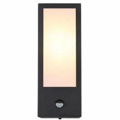 Luminaires Globo Lighting Applique murale d'extérieur Globo GUNDULA Noir, 1 lumière, Détecteur de mouvement