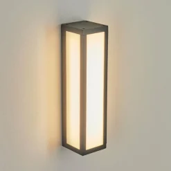 hofstein Applique murale d'extérieur Apidou LED Anthracite, 1 lumière