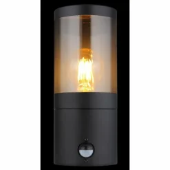 Suspension Verre Fumé-Luminaires Globo Lighting Applique murale d'extérieur Globo XELOO Noir, 1 lumière, Détecteur de mouvement