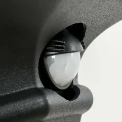 Luminaires Rustiques-hofstein Applique murale d'extérieur Hongkong Noir, 1 lumière, Détecteur de mouvement