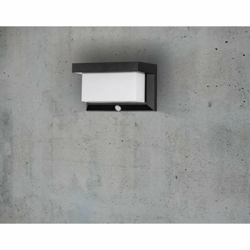 Luminaires Eglo Applique murale d'extérieur Eglo Z_SOLAR LED Noir, 32 lumières, Détecteur de mouvement