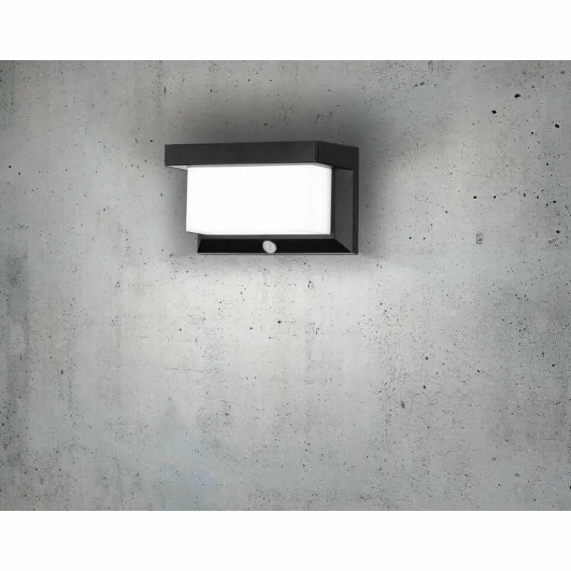 Luminaires Eglo Applique murale d'extérieur Eglo Z_SOLAR LED Noir, 32 lumières, Détecteur de mouvement