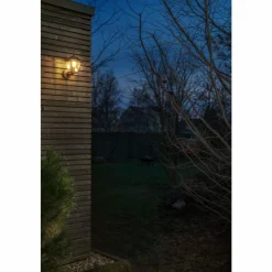 Lampes Dorées-Luminaires Ledvance Applique murale d'extérieur LEDVANCE ENDURA® Or, Noir, 1 lumière