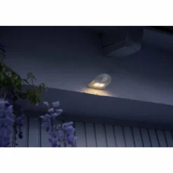 Luminaires Ledvance Applique murale d'extérieur LEDVANCE Door Argenté, 1 lumière, Détecteur de mouvement