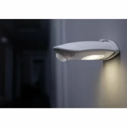 Luminaires Ledvance Applique murale d'extérieur LEDVANCE Door Argenté, 1 lumière, Détecteur de mouvement