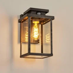 Lampes Vintages & Rétros-hofstein Applique murale d'extérieur Tieva Noir, Argenté, 1 lumière, Détecteur de mouvement