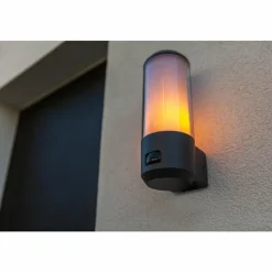 Luminaires Lutec Applique murale d'extérieur Lutec Heros Anthracite, 1 lumière, Détecteur de mouvement