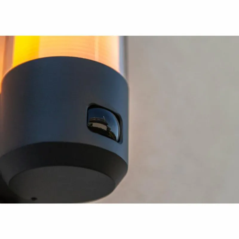 Luminaires Lutec Applique murale d'extérieur Lutec Heros Anthracite, 1 lumière, Détecteur de mouvement