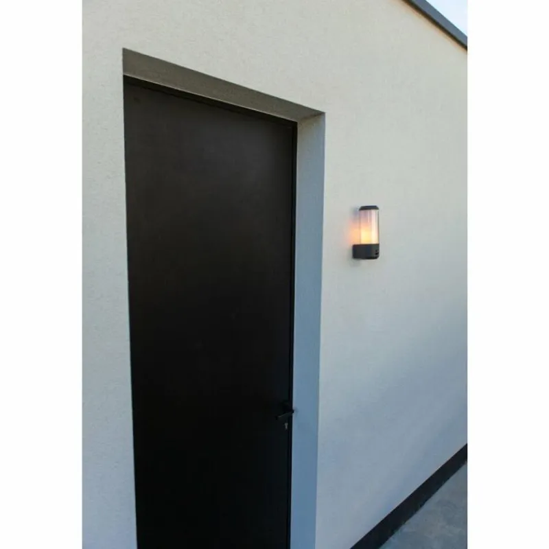 Luminaires Lutec Applique murale d'extérieur Lutec Heros Anthracite, 1 lumière, Détecteur de mouvement