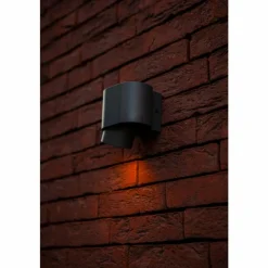 Luminaires Lutec Applique murale d'extérieur Lutec Cypres Anthracite, 1 lumière