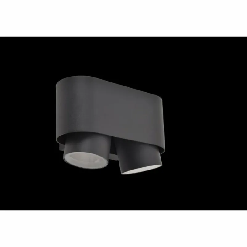 Luminaires Lutec Applique murale d'extérieur Lutec Cypres Anthracite, 2 lumières