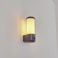 hofstein Applique murale d'extérieur Gondoyer Anthracite, 1 lumière, Détecteur de mouvement