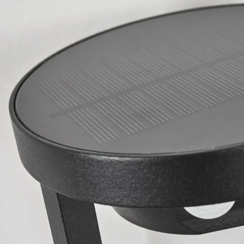 hofstein Applique murale d'extérieur Lokpano LED Noir, 1 lumière, Détecteur de mouvement, Changeur de couleurs