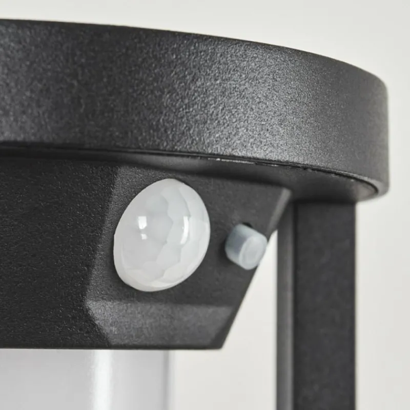 hofstein Applique murale d'extérieur Lokpano LED Noir, 1 lumière, Détecteur de mouvement, Changeur de couleurs