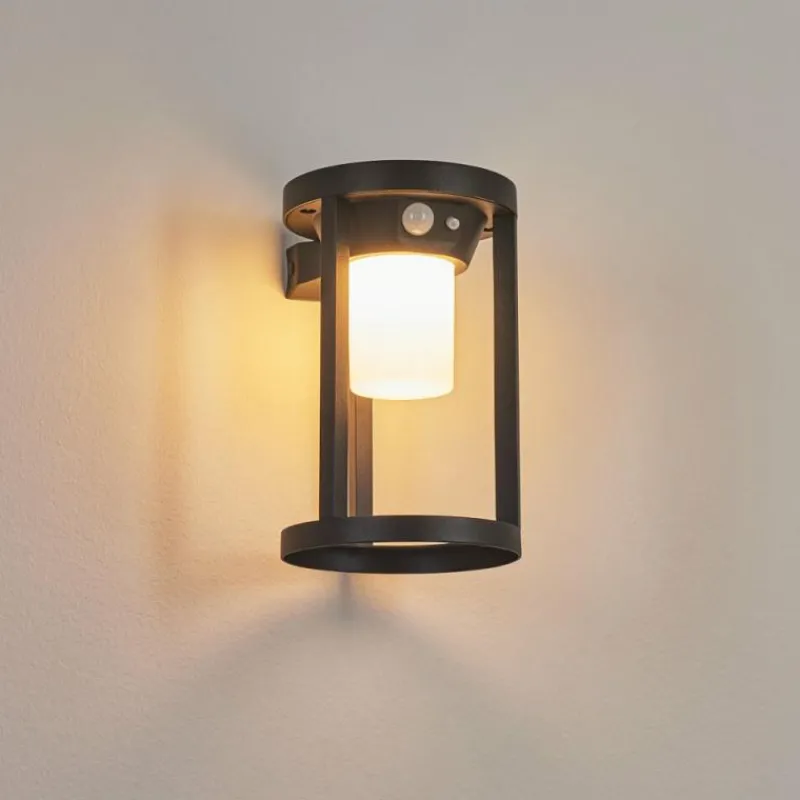 hofstein Applique murale d'extérieur Lokpano LED Noir, 1 lumière, Détecteur de mouvement, Changeur de couleurs