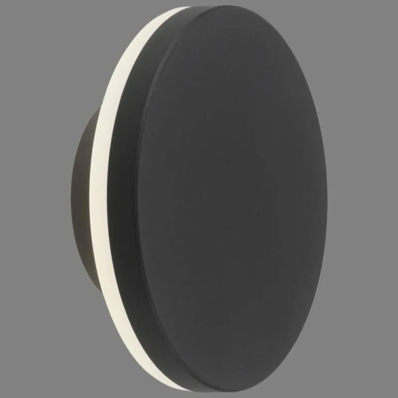 Luminaires Paul Neuhaus Applique murale d'extérieur Paul Neuhaus PUNTUA LED Anthracite, 1 lumière