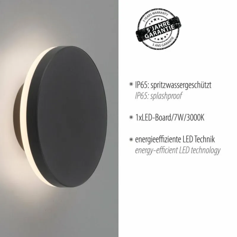 Luminaires Paul Neuhaus Applique murale d'extérieur Paul Neuhaus PUNTUA LED Anthracite, 1 lumière
