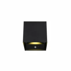 Luminaires Reality Applique murale d'extérieur Reality TALENT LED Noir, 2 lumières, Détecteur de mouvement