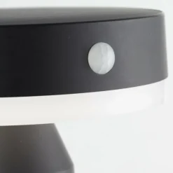 Luminaires Brilliant Applique murale d'extérieur Brilliant Magua LED Noir, 1 lumière