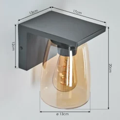 hofstein Applique murale d'extérieur Aquin Anthracite, 1 lumière