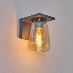 hofstein Applique murale d'extérieur Aquin Anthracite, 1 lumière