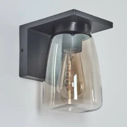 hofstein Applique murale d'extérieur Aquin Anthracite, 1 lumière