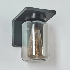 hofstein Applique murale d'extérieur Aquin Anthracite, 1 lumière