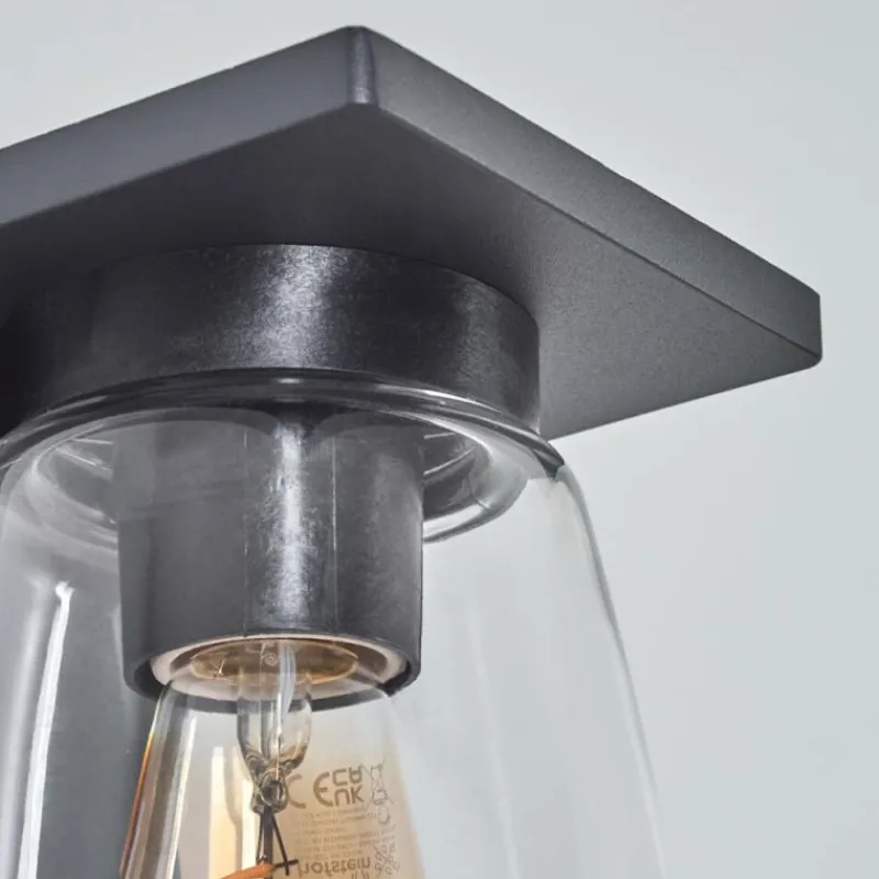 hofstein Applique murale d'extérieur Aquin Anthracite, 1 lumière