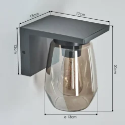 hofstein Applique murale d'extérieur Aquin Anthracite, 1 lumière