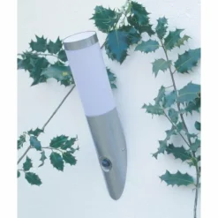 Luminaires Brilliant Applique murale d'extérieur Brilliant Chorus Acier inoxydable, 1 lumière, Détecteur de mouvement