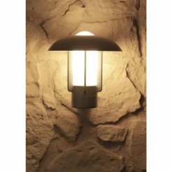 Luminaires Konstsmide Applique murale d'extérieur Konstsmide HEIMDAL Acier inoxydable, Argenté, 1 lumière