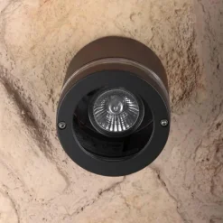 Luminaires Lutec Applique murale d'extérieur LUTEC FOCUS Anthracite, 1 lumière