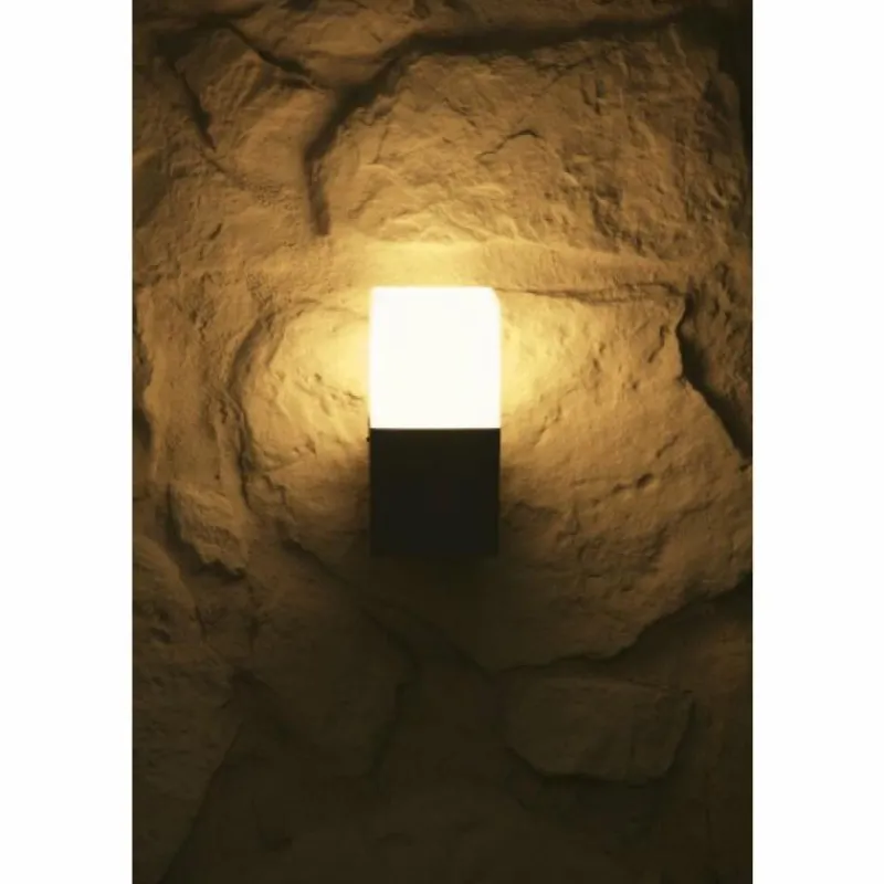 Luminaires Trio Applique murale d'extérieur Trio HUDSON Acier inoxydable, 1 lumière