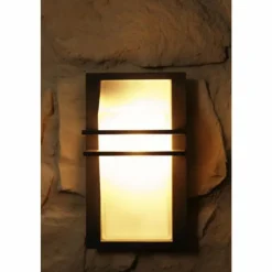 Luminaires Eglo Applique murale d'extérieur Eglo Park Anthracite, 1 lumière