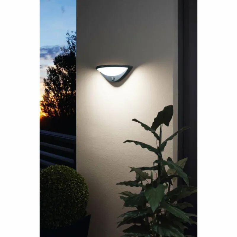 Luminaires Eglo Applique murale Eglo BELCREDA LED Anthracite, 1 lumière, Détecteur de mouvement