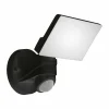 Luminaires Eglo Applique murale EGLO PAGINO LED Noir, 1 lumière, Détecteur de mouvement