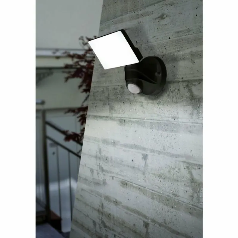 Luminaires Eglo Applique murale EGLO PAGINO LED Noir, 1 lumière, Détecteur de mouvement