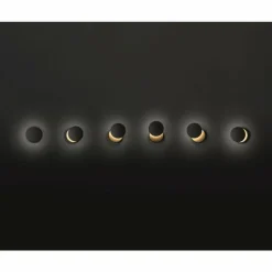 Lampes Dorées-Luminaires Fabas Luce Applique murale Fabas Luce Ara LED Or, Noir, 1 lumière