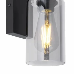 Suspension Verre Fumé-Luminaires Globo Lighting Applique murale Globo HADERA Noir, 1 lumière