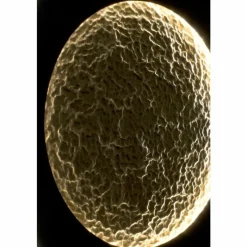 Lampes Dorées-Luminaires Holländer Applique murale Holländer LUNA LED Brun, Or, Noir, 2 lumières