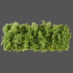 Luminaires Leuchten Direkt Applique murale Leuchten-Direkt GREEN CARLO LED Argenté, 6 lumières* Éclairage Led