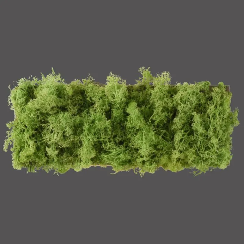 Luminaires Leuchten Direkt Applique murale Leuchten-Direkt GREEN CARLO LED Argenté, 6 lumières* Éclairage Led