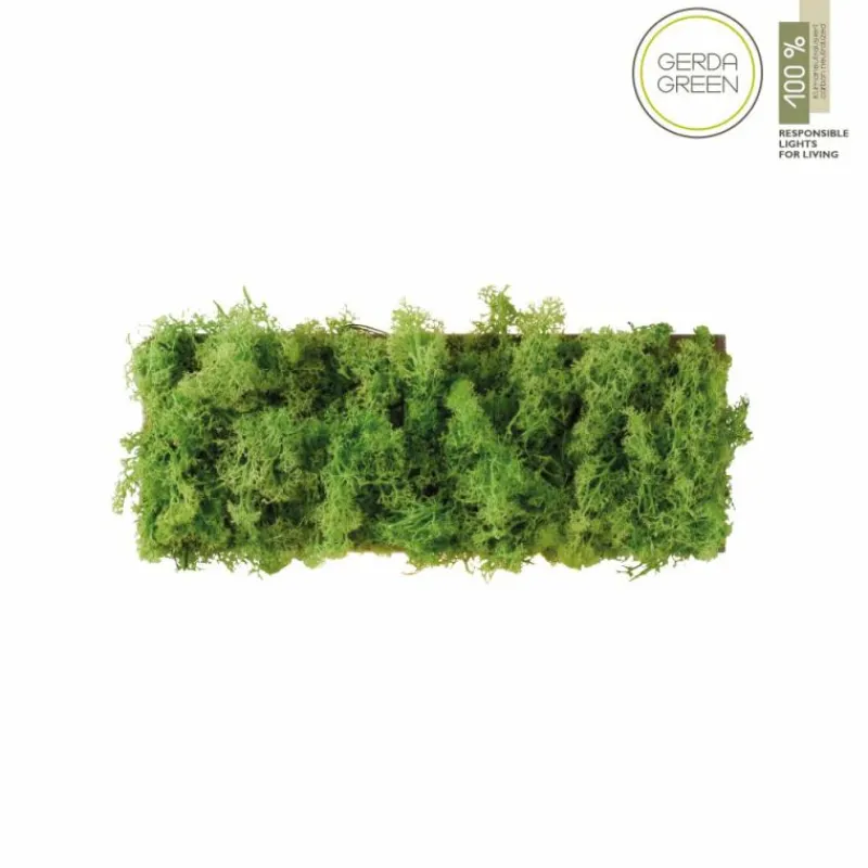 Luminaires Leuchten Direkt Applique murale Leuchten-Direkt GREEN CARLO LED Argenté, 6 lumières* Éclairage Led