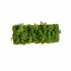 Luminaires Leuchten Direkt Applique murale Leuchten-Direkt GREEN CARLO LED Argenté, 6 lumières* Éclairage Led