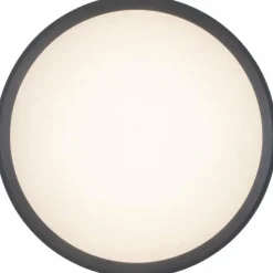 Luminaires Lutec Applique murale Lutec Rola LED Anthracite, 1 lumière