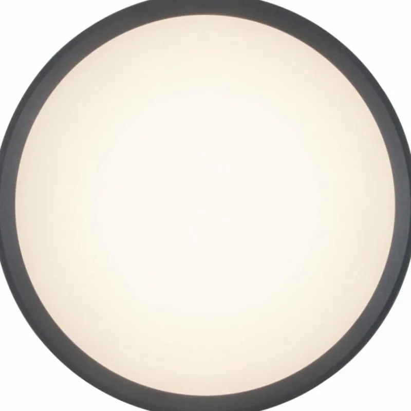 Luminaires Lutec Applique murale Lutec Rola LED Anthracite, 1 lumière