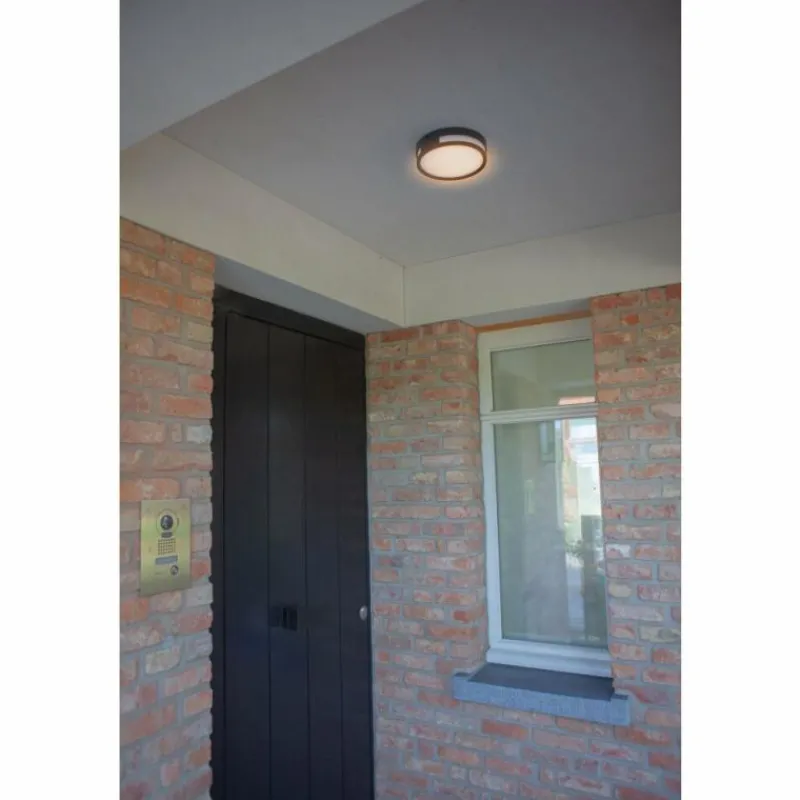 Luminaires Lutec Applique murale Lutec Rola LED Anthracite, 1 lumière