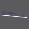 Luminaires Paul Neuhaus Applique murale Paul Neuhaus ROBERT LED Anthracite, 1 lumière