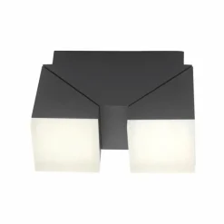 Luminaires Paul Neuhaus Applique murale Paul Neuhaus RYAN LED Anthracite, 2 lumières