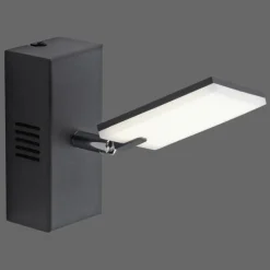 Luminaires Paul Neuhaus Applique murale Paul Neuhaus PURE-MIRA LED Noir, 2 lumières, Télécommandes* Appliques